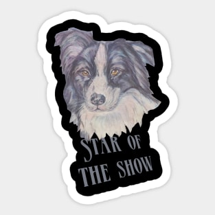 Star of the Show, Border Collie Sticker